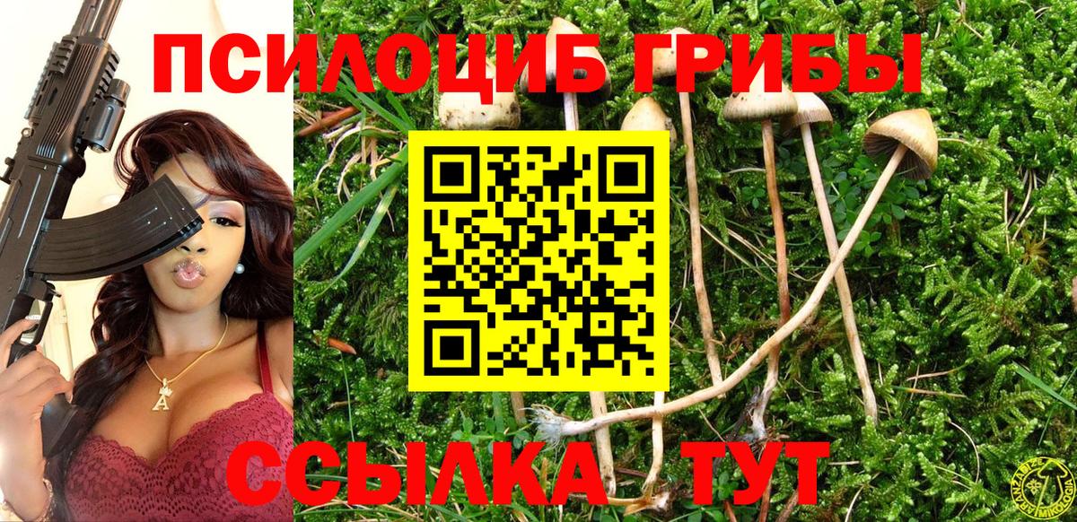 Галлюциногенные грибы мицелий Саратов