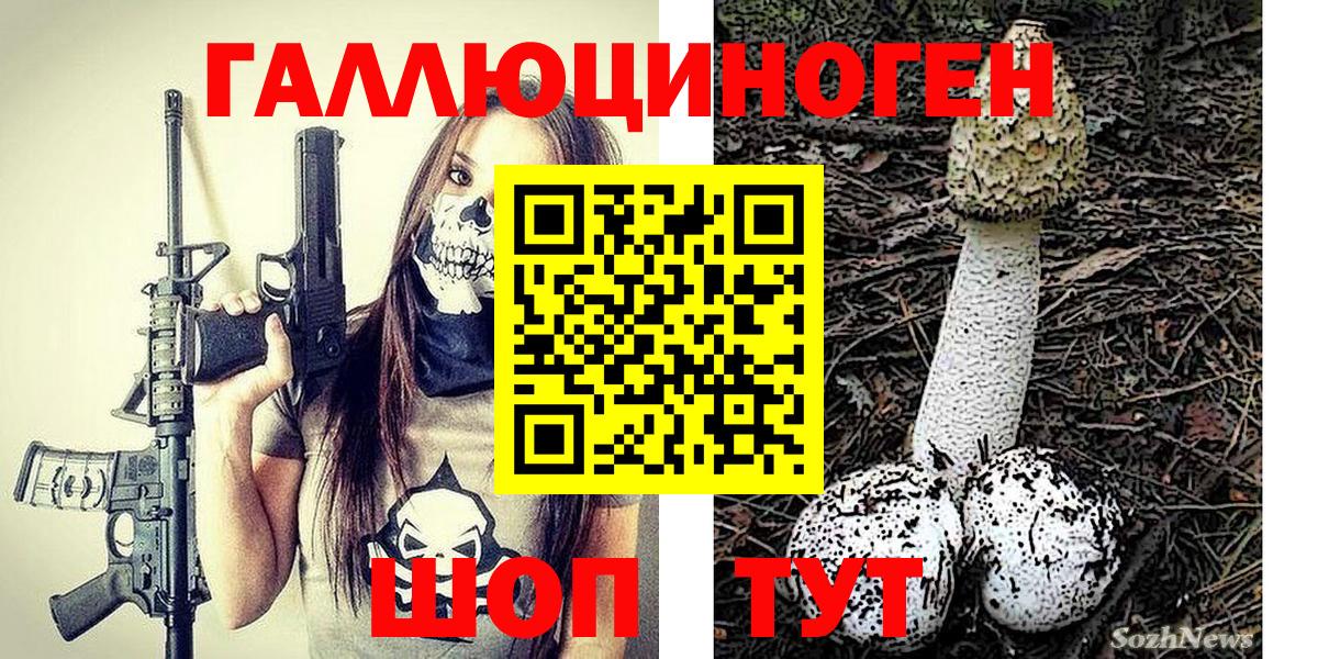 Саратов  Псилоцибиновые грибы Cubensis  Вход с VPN 